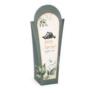 קופסת דג