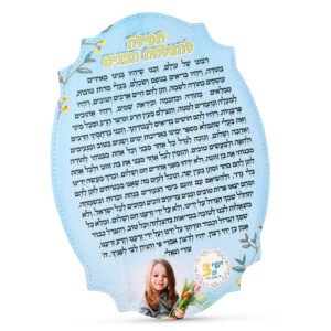 מגנט מוקצף אליפסה רטרו